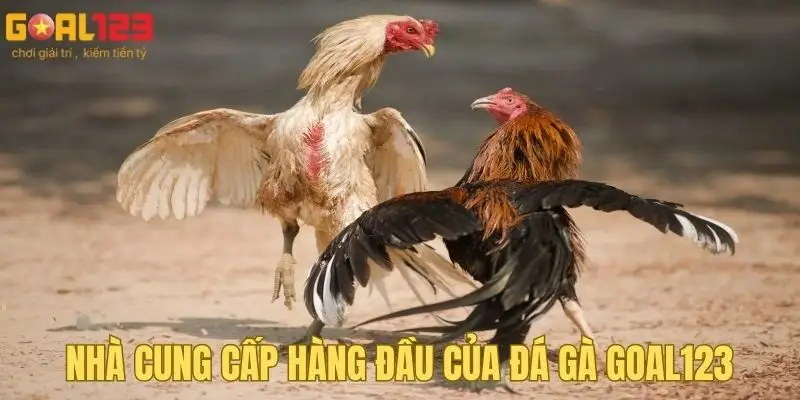 Tìm hiểu về đối tác của đá gà Goal123