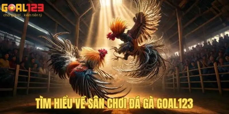 Hiểu rõ hơn về đá gà Goal123